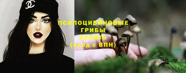 спиды Заволжск