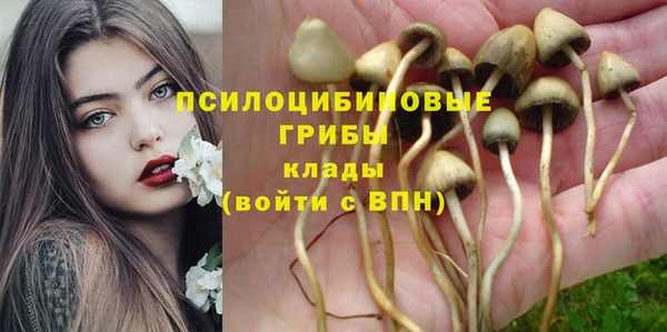 не бодяженный Зерноград