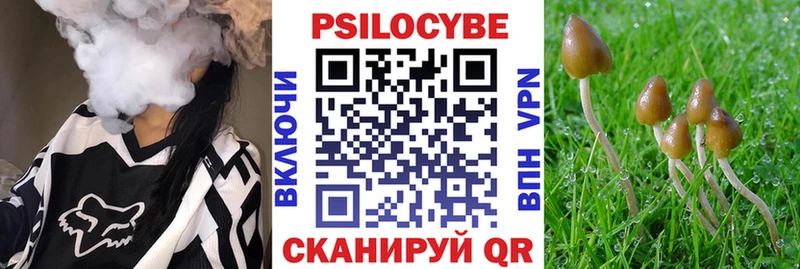 Галлюциногенные грибы Psilocybe Купить Павловская